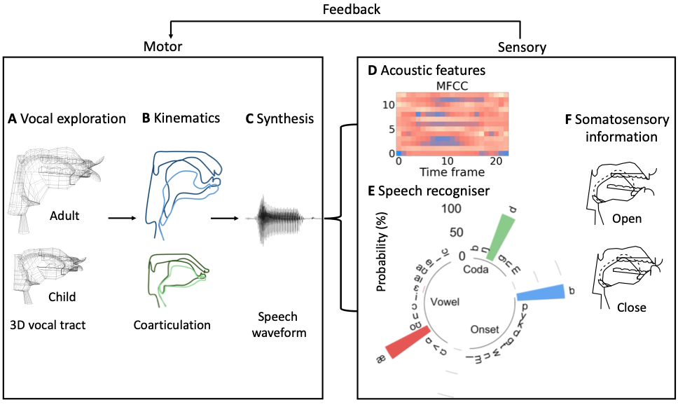 Vocal Learning Model